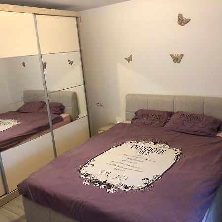 Apartament modern Târgoviște în regim hotelier Exterior foto