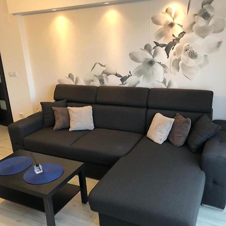 Apartament modern Târgoviște în regim hotelier Exterior foto